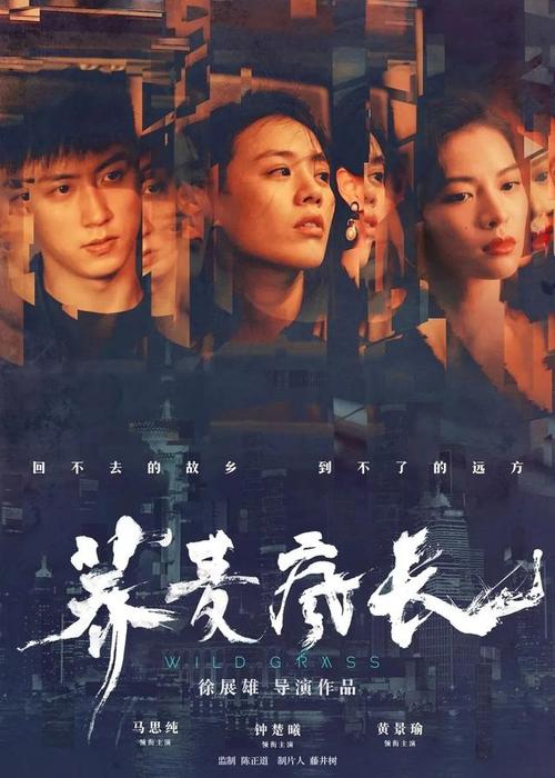 明德大学建筑学文凭证书